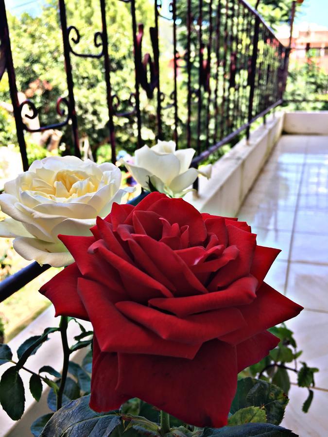 Hotel ซาไมปาตา ภายนอก รูปภาพ